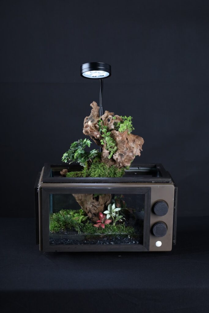 a small aquarium with a light on top of it