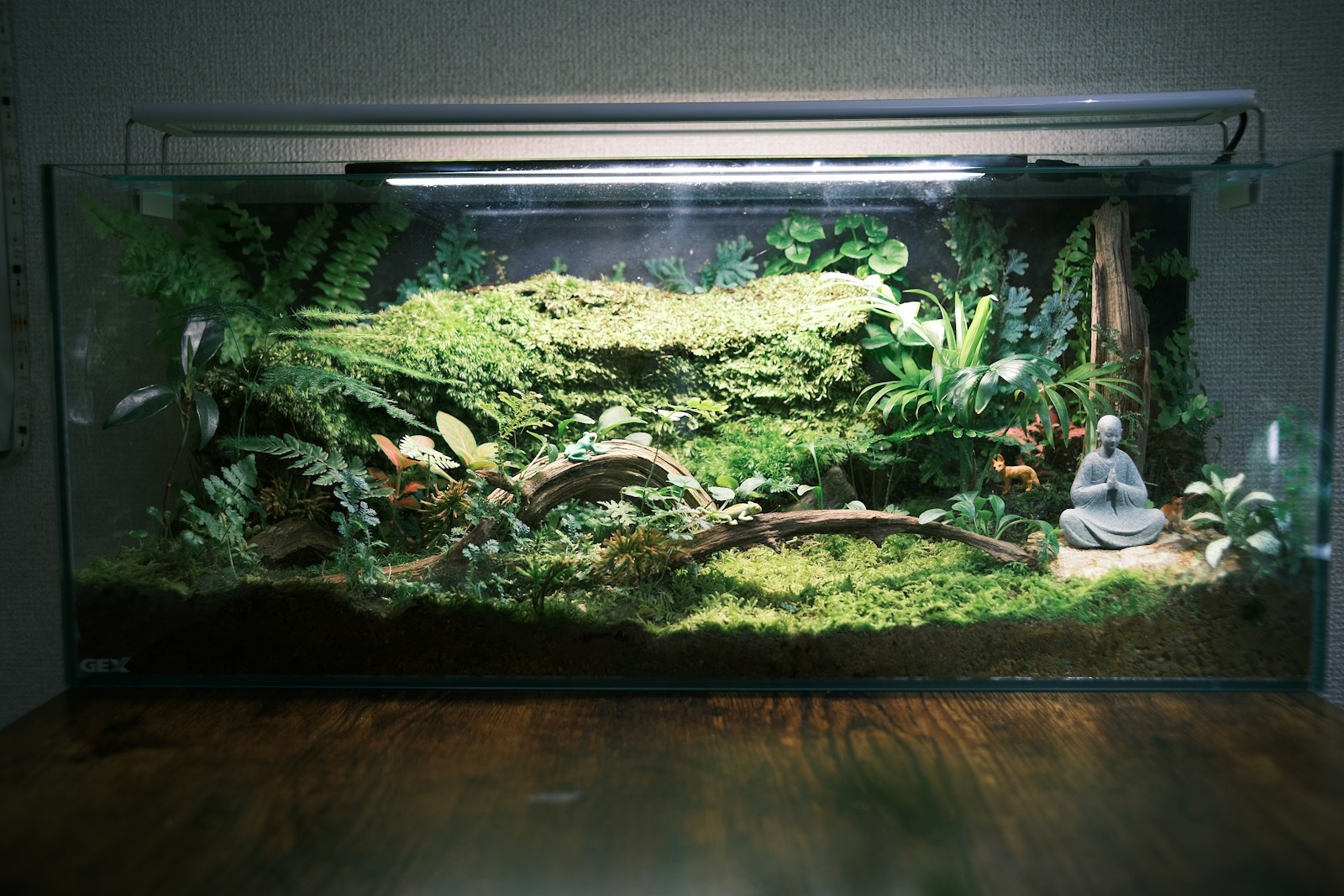 A lush terrarium with plants and a buddha statue.